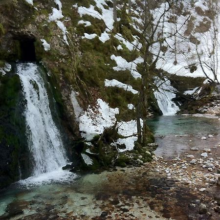 Апартаменти Bistrica 1 Бохінь Екстер'єр фото